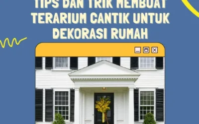 Tips dan Trik Membuat Terarium Cantik untuk Dekorasi Rumah