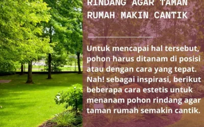 Cara Estetis Menanam Pohon Rindang Agar Taman Rumah Makin Cantik